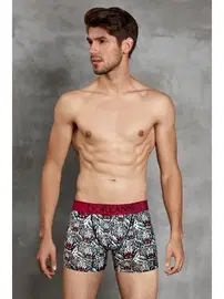 Doreanse Doreanse Erkek Boxer 1812