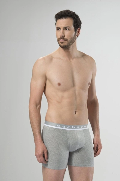 Boxer Cacharel 1315/GRİ