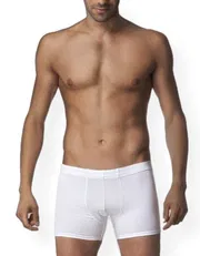 Çift Kaplan Elestanlı Boxer 810