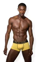 Doreanse Boxer 1725 Sarı