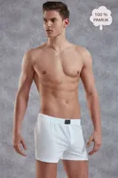 Doreanse Erkek Boxer 1511P Beyaz farklı açı