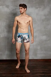 Doreanse Doreanse Erkek Boxer 1806