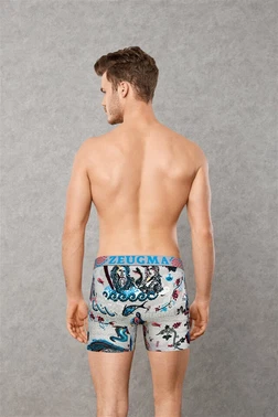 Doreanse Doreanse Erkek Boxer 1806 - Alternatif Görünüm