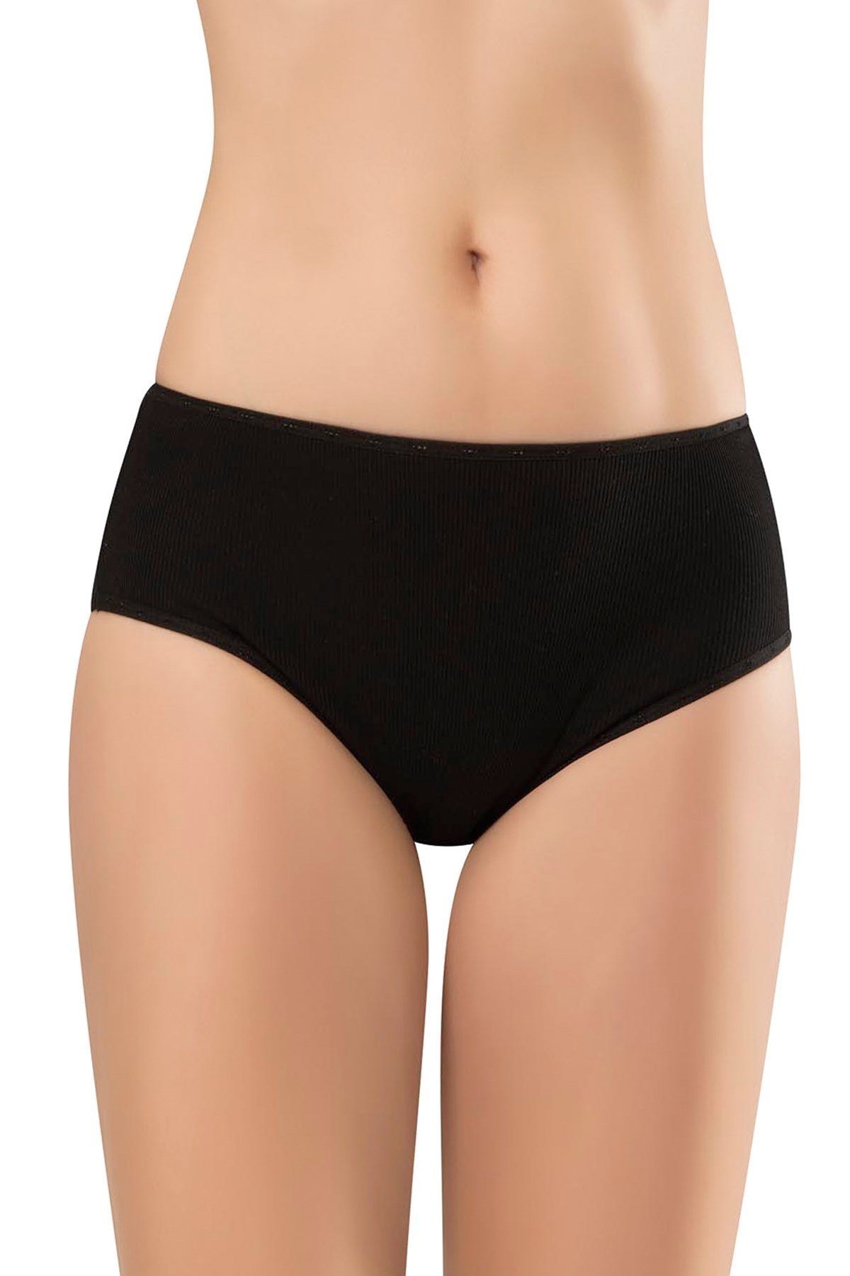 Erdem Ribana Bato 2500