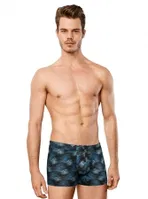 Erkek Baskılı Boxer Doreanse 1735