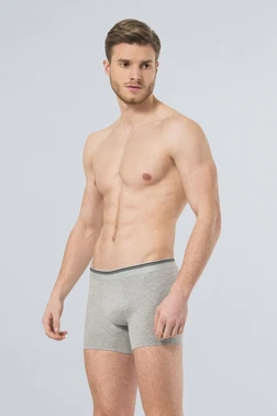 Türen Erkek Likralı Boxer (2'li Paket) Türen 126/GRİ - Alternatif Görünüm
