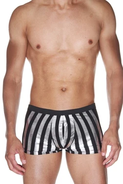 La Blinque La Blinque Erkek Çizgili Boxer 15538