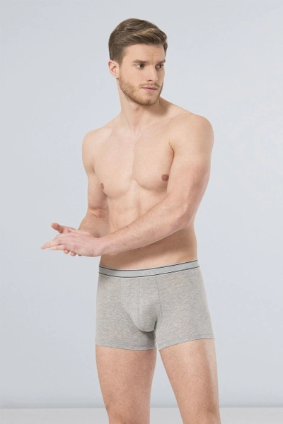 Likralı Boxer Türen 165/GRİ