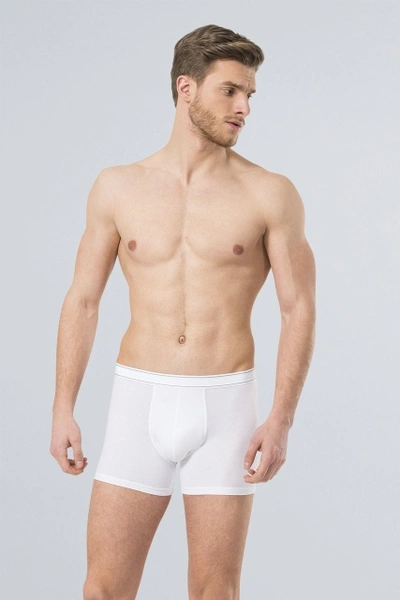 Likralı Boxer Türen 174/BEYAZ