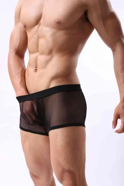 Merry See Merry See Siyah Transparan Erkek Boxer - Alternatif Görünüm