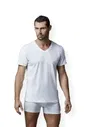 Penye V Yaka Kısa Kol 2 Li T-Shirt                         Dagi D1040