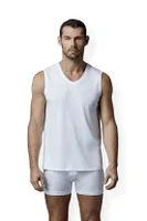 Penye V Yaka Kolsuz 2 Li T-Shirt Dagi D1070 Beyaz