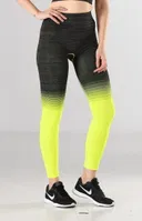 Sporcu Kadın Tayt Fitness ve Günlük Kullanım Iç Göstermez Örme Seamless Dikişsiz Sof Miss Fit 35547 MultiColor