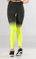 Sporcu Kadın Tayt Fitness ve Günlük Kullanım Iç Göstermez Örme Seamless Dikişsiz Sof Miss Fit 35547 MultiColor detay görünüm