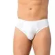 Bamboo Erkek Slip Lüx DRM 3920