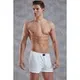 Doreanse Erkek Boxer 1511P