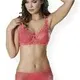 Moonlight 2129 Desenli Minimizer