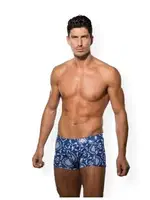 Doreanse Boxer 1883 Hamam Desen