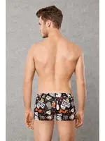 Doreanse Erkek Boxer 1793 Kıbrıs detay görünüm