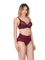 Emay 177 B CUP Toparlayıcı Minimizer Sütyen Külot Takım Bordo görsel 6