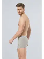 Erkek Likralı Boxer (2'li Paket) Türen 126/GRİ Gri farklı açı