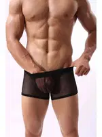 Merry See Siyah Transparan Erkek Boxer Siyah