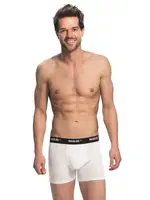 Modal Erkek Boxer NBB 735