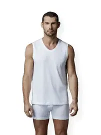 Dagi Penye V Yaka Kolsuz 2 Li T-Shirt Dagi D1070