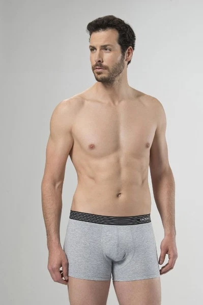 2'li Boxer (Düz) Cacharel 1318/GRİ