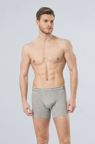 Likralı Boxer Türen 174/GRİ