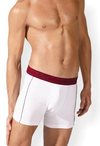 X-man Erkek Boxer Art 742