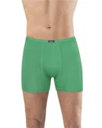 Erkek Bambu Düz Renk Boxer Anıt 1273 B.Yeşili görsel 6