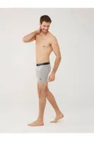 3 Lü Uzun Paçalı U.S. Polo Assn. Boxer 80454 Gri-Lacivert-Kırmızı görsel 6