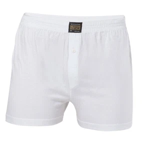 Anıt Erkek Boxer 1146