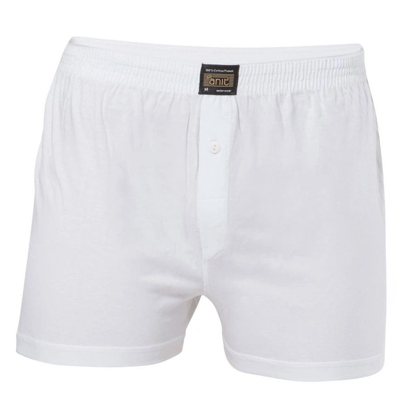 Anıt Erkek Boxer 1146