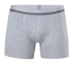 Anıt Çizgili Licralı Erkek Boxer 1252 Antrasit