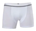 Anıt Çizgili Licralı Erkek Boxer 1252 Beyaz görsel 4