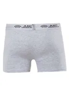 Anıt Licralı Erkek Boxer 1115 Gri görsel 4