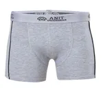 Anıt Licralı Şeritli Erkek Boxer 1120 Gri