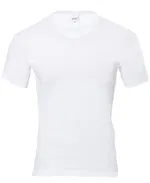 Anıt Ribana V Yaka Kollu 1109 Beyaz