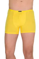 Berrak 4488 Erkek Modal Boxer görsel 4