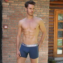 Goldenbay Kemer Desenli Erkek Boxer Goldenbay 1643