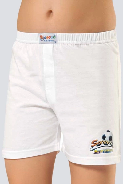 Çocuk Baskılı Boxer (2'li Paket) Türen 423