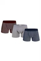 Doreanse Erkek 3 lü Boxer 1867 Lacivert-Bordo-Gri