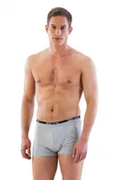 Erkek Boxer Emay 6950 Gri görsel 4