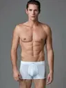 Micro Modal Erkek Boxer Eros ERS051