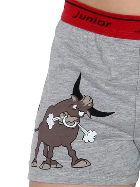 Miorre Miorre Erkek Çocuk Boxer Standart - Alternatif Görünüm