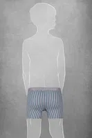Modal Nokta Desenli Renkli Boxer Doreanse 614 Green Grey Check detay görünüm