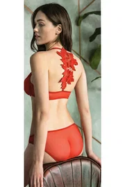 Anıl Kadife Balenli Destekli Dolgulu Askıları Çıkabilen Önden Açılan Çıkabilen Sırt Aksesuarlı Sütyen ve Slip Takım Anıl 4804