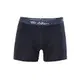 Anıt Licralı Erkek Boxer 1115
